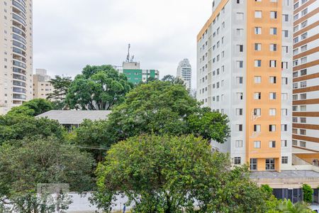 Vista da Sacada  de apartamento para alugar com 2 quartos, 65m² em Vila Gumercindo, São Paulo