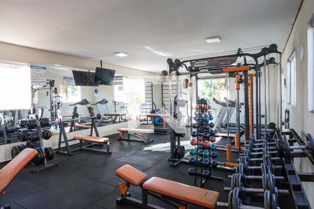 Apartamento para alugar com 48m², 2 quartos e 1 vagaAcademia