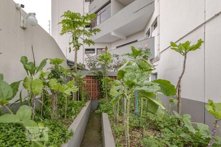 Apartamento para alugar com 135m², 3 quartos e 2 vagasÁrea Comum - Horta 