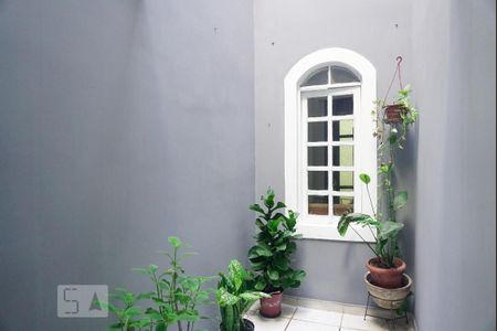 Jardim de Inverno  de casa à venda com 3 quartos, 133m² em Jardim Santa Maria, São Paulo