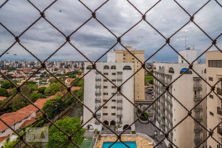 Vista da Sala de apartamento à venda com 3 quartos, 274m² em Jardim Carlos Gomes, Campinas