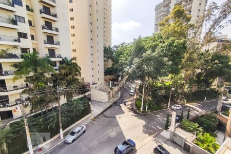 Apartamento à venda com 257m², 4 quartos e 4 vagasVista da Varanda
