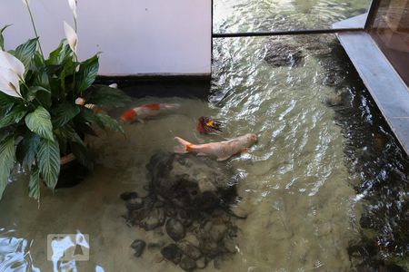 Apartamento à venda com 75m², 2 quartos e 2 vagasÁrea comum