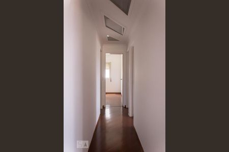 Corredor de apartamento para alugar com 3 quartos, 119m² em Jardim Umuarama, São Paulo