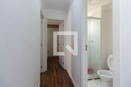 Corredor de apartamento para alugar com 2 quartos, 41m² em Cambuci, São Paulo
