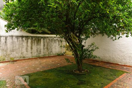 Casa para alugar com 200m², 4 quartos e 1 vagaQuintal