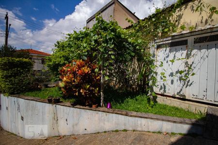 Casa à venda com 405m², 5 quartos e sem vaga Casa à venda com 405m², 5 quartos e sem vagajardim