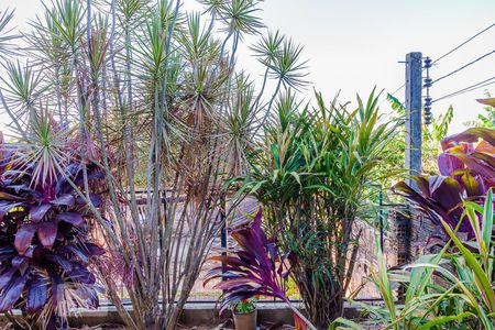 Casa à venda com 204m², 3 quartos e 3 vagasVista