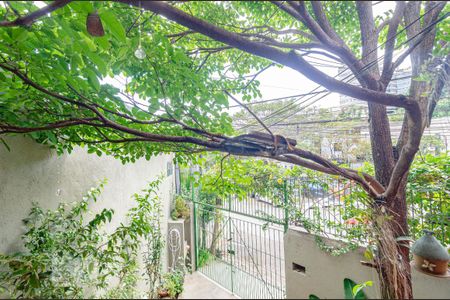 Casa para alugar com 130m², 3 quartos e 2 vagasVista