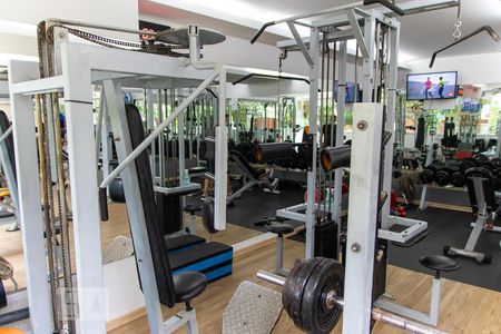 Apartamento à venda com 425m², 4 quartos e 4 vagasÁrea comum - Academia