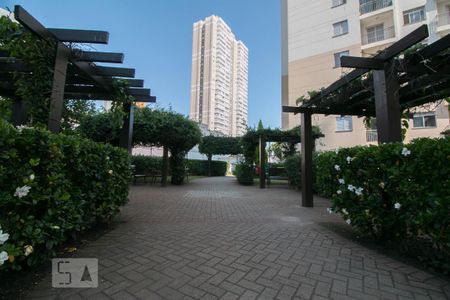 Apartamento à venda com 50m², 2 quartos e 1 vaga Apartamento à venda com 50m², 2 quartos e 1 vagaBosque