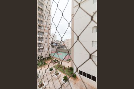 Apartamento à venda com 77m², 3 quartos e 2 vagasVista quarto 2