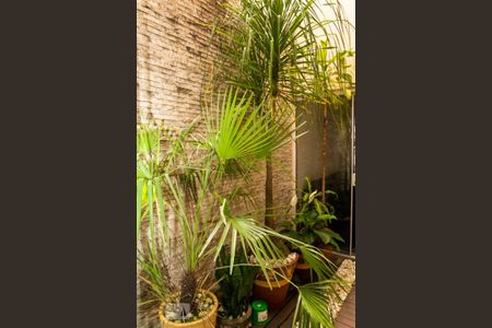 Casa à venda com 288m², 4 quartos e 4 vagasJardim de inverno