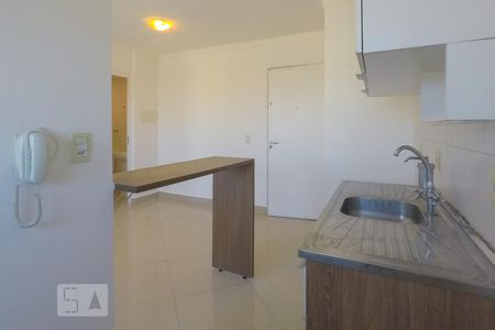 Cozinha de apartamento para alugar com 1 quarto, 40m² em Cambuci, São Paulo