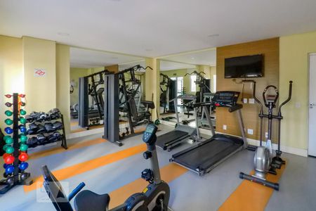 Apartamento para alugar com 40m², 1 quarto e sem vagaÁrea comum - Academia