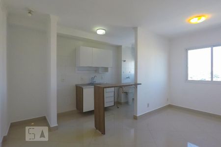 Cozinha de apartamento para alugar com 1 quarto, 40m² em Cambuci, São Paulo