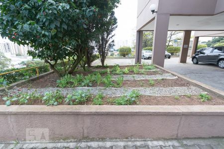 Apartamento à venda com 75m², 3 quartos e 1 vagaHorta