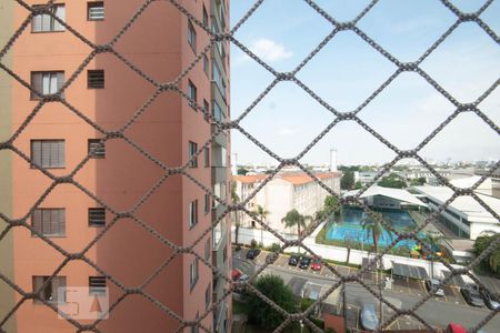 Vista da Sala de apartamento para alugar com 3 quartos, 75m² em Piratininga, Osasco