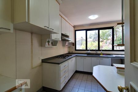 Apartamento à venda com 352m², 3 quartos e 3 vagasCozinha