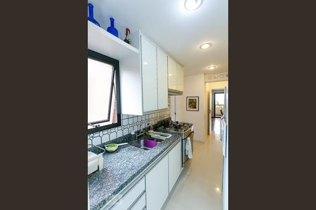 Apartamento à venda com 257m², 4 quartos e 4 vagasCozinha
