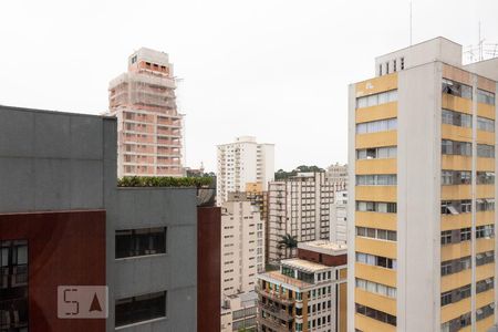 Vista Livre de apartamento para alugar com 1 quarto, 33m² em Pinheiros, São Paulo