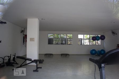Apartamento para alugar com 51m², 2 quartos e 1 vaga Apartamento para alugar com 51m², 2 quartos e 1 vagaÁrea comum - Academia
