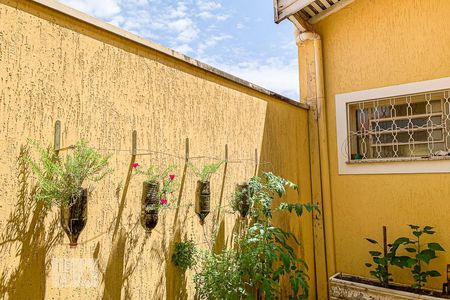 Jardim de casa à venda com 4 quartos, 261m² em Jardim Nova Europa, Campinas