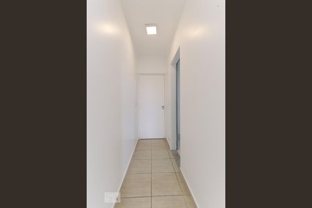 Corredor Entrada de apartamento à venda com 3 quartos, 82m² em Vila Gustavo, São Paulo