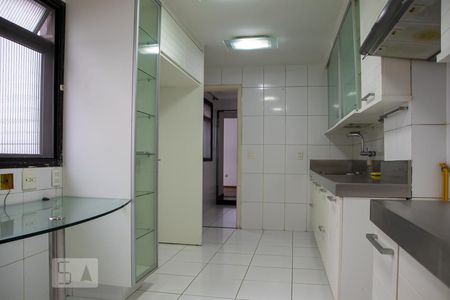 Apartamento à venda com 298m², 3 quartos e 2 vagasCozinha