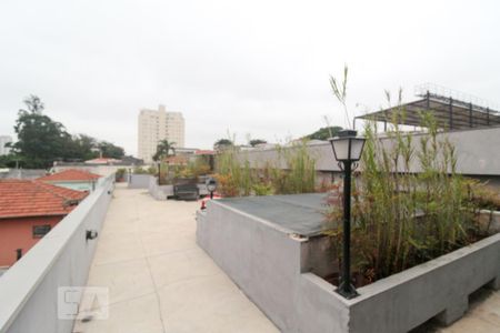 Studio para alugar com 35m², 1 quarto e sem vaga Studio para alugar com 35m², 1 quarto e sem vagaRooftop