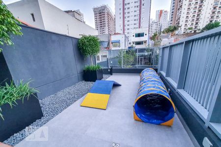 Studio para alugar com 28m², 1 quarto e sem vaga Studio para alugar com 28m², 1 quarto e sem vagaÁrea Comum - Pet Place