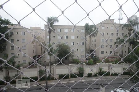 Vista do quarto 1 de apartamento à venda com 3 quartos, 72m² em Paraisópolis, São Paulo