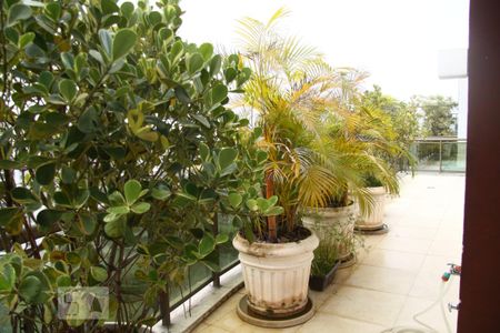 Apartamento à venda com 600m², 6 quartos e 5 vagasCobertura