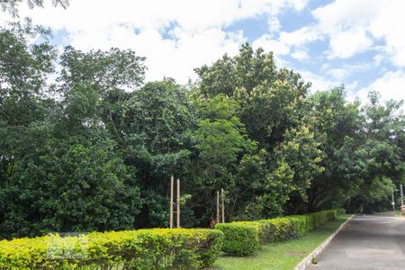 Casa de condomínio à venda com 304m², 4 quartos e 3 vagasÁrea Verde - Mata Preservada