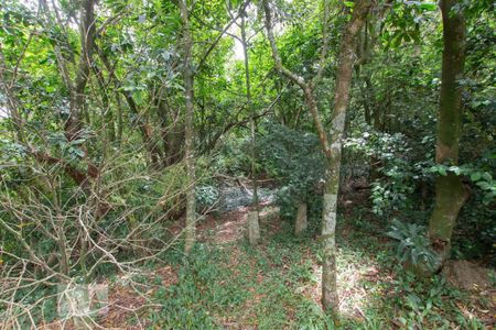 Casa de condomínio à venda com 304m², 4 quartos e 3 vagasÁrea Verde - Mata Preservada