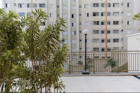 Vista do Quarto de apartamento para alugar com 1 quarto, 54m² em Jardim Iris, São Paulo