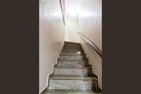Escada de casa para alugar com 3 quartos, 280m² em Jardim Franca, São Paulo