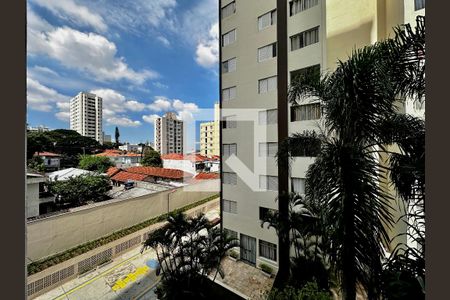 Apartamento à venda com 80m², 3 quartos e 1 vaga Apartamento à venda com 80m², 3 quartos e 1 vagaVista Suíte