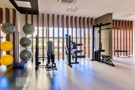 Apartamento para alugar com 57m², 2 quartos e 1 vagaAcademia