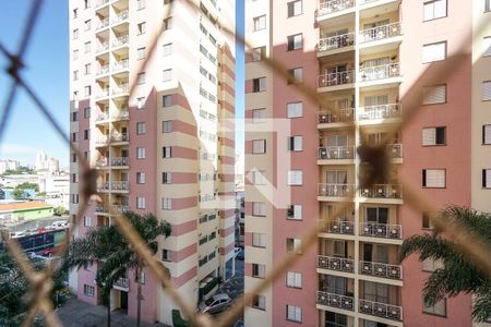 Apartamento para alugar com 64m², 3 quartos e 1 vaga Apartamento para alugar com 64m², 3 quartos e 1 vagaVista do quarto 02
