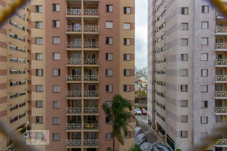 Vista Varanda da Sala de apartamento para alugar com 3 quartos, 64m² em Chácara Califórnia, São Paulo