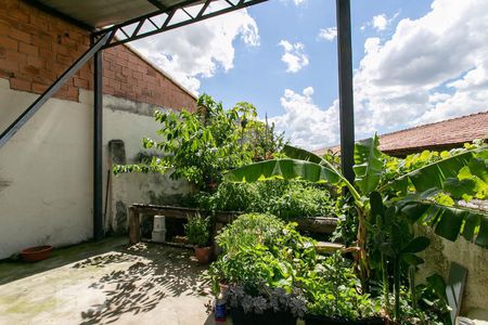 Casa para alugar com 260m², 6 quartos e 8 vagasQuintal