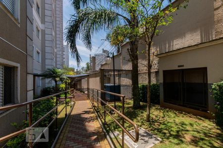 Apartamento para alugar com 46m², 2 quartos e 1 vaga Apartamento para alugar com 46m², 2 quartos e 1 vagaÁrea Comum