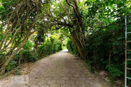 Casa para alugar com 80m², 1 quarto e 1 vagaÁrea Externa