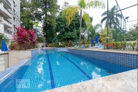 Área comum - Piscina de apartamento para alugar com 2 quartos, 65m² em São Cristóvão, Rio de Janeiro