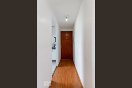 Corredor Entrada de apartamento à venda com 2 quartos, 60m² em Vila Nivi, São Paulo