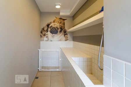 Apartamento à venda com 46m², 2 quartos e 1 vaga Apartamento à venda com 46m², 2 quartos e 1 vagaÁrea comum