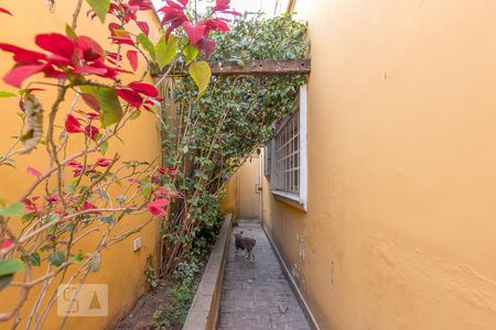 Casa para alugar com 320m², 4 quartos e 4 vagasCorredor Lateral 