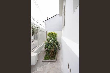 Casa para alugar com 80m², 2 quartos e 1 vaga Casa para alugar com 80m², 2 quartos e 1 vagaJardim