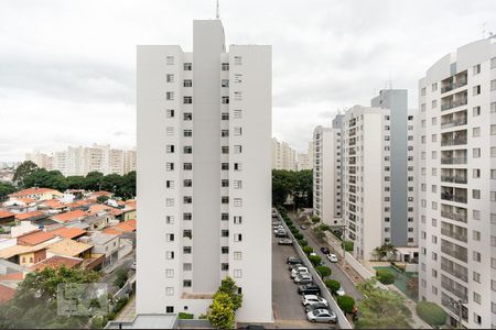 Vista do Quarto 1 de apartamento à venda com 2 quartos, 55m² em Jardim Íris, São Paulo